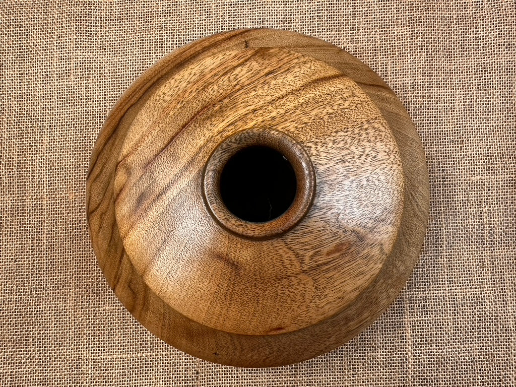 Camphor Laurel Hollow Form with Unique Exterior