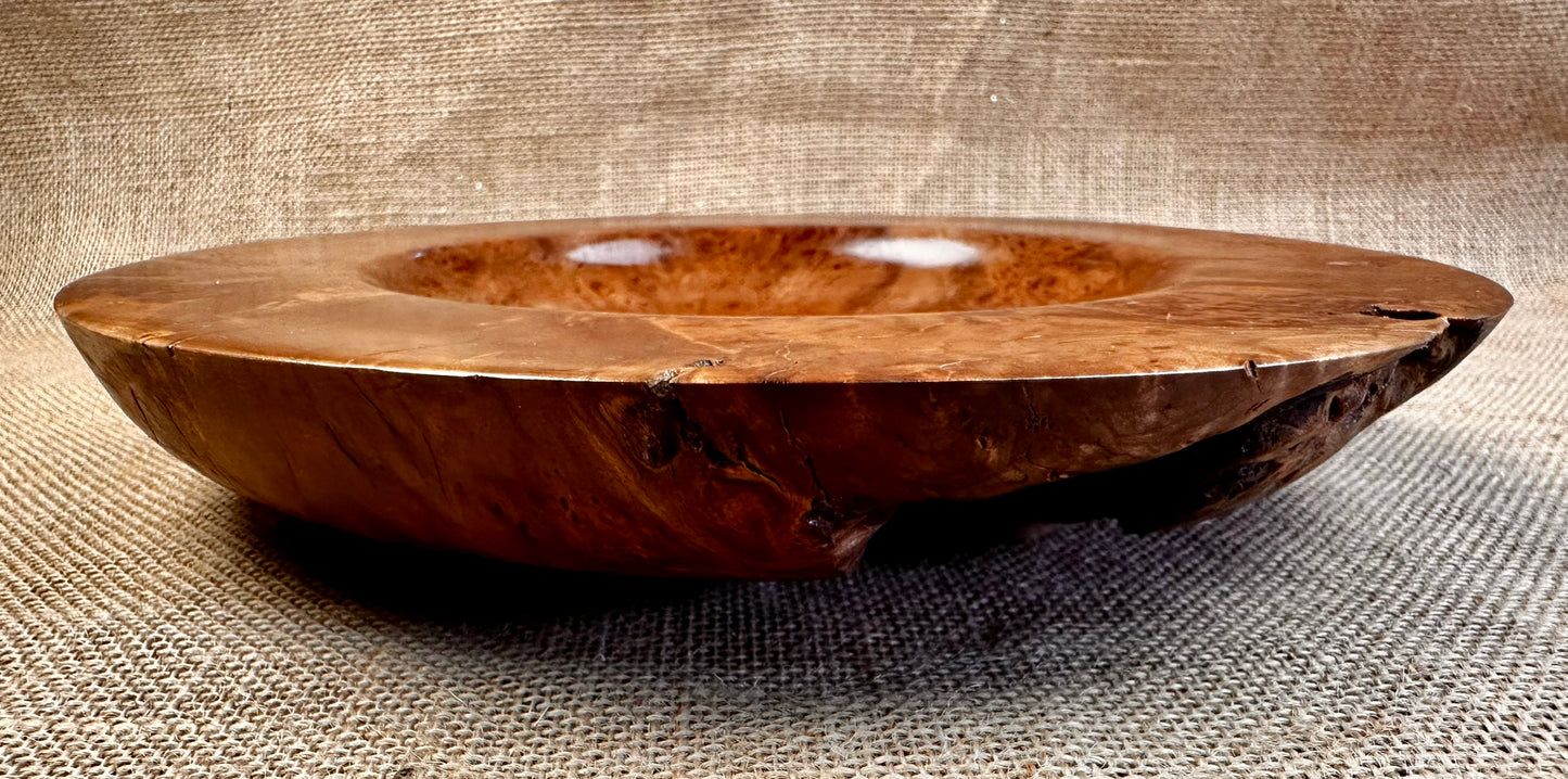 Tasmanian Myrtle Burl Catchall Bowl