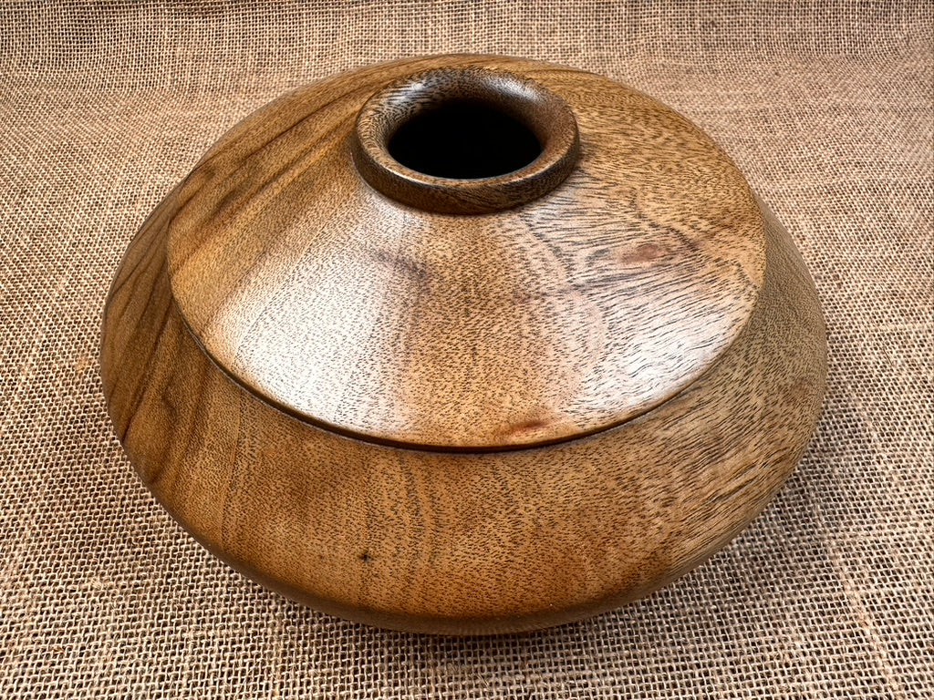 Camphor Laurel Hollow Form with Unique Exterior