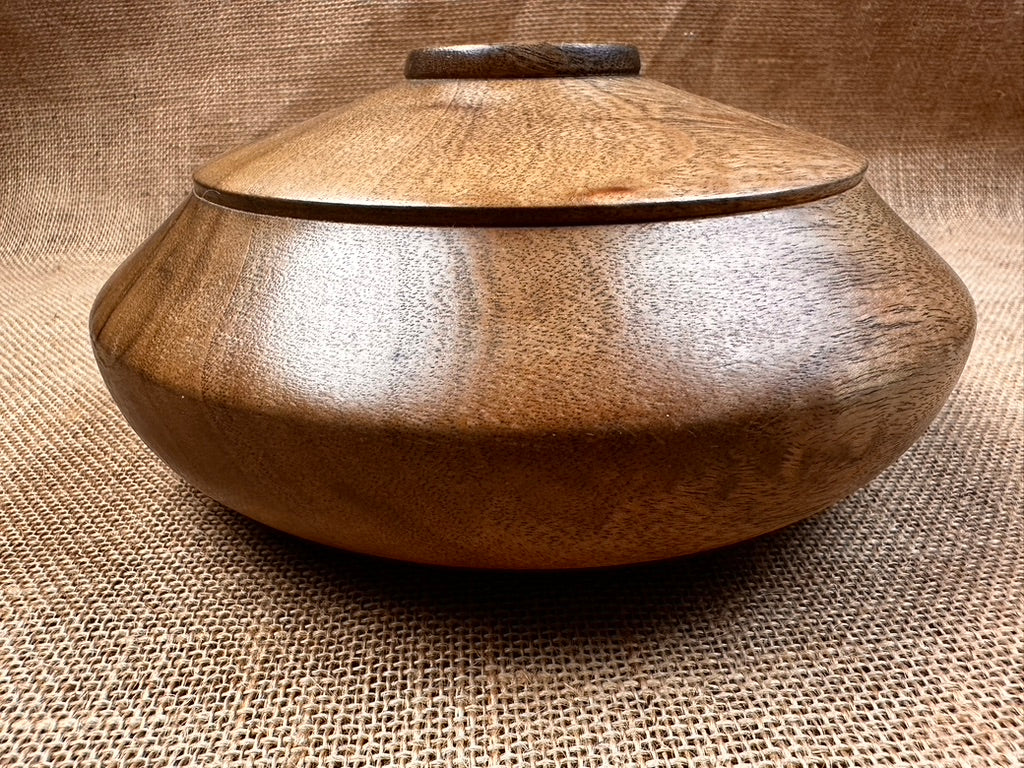 Camphor Laurel Hollow Form with Unique Exterior