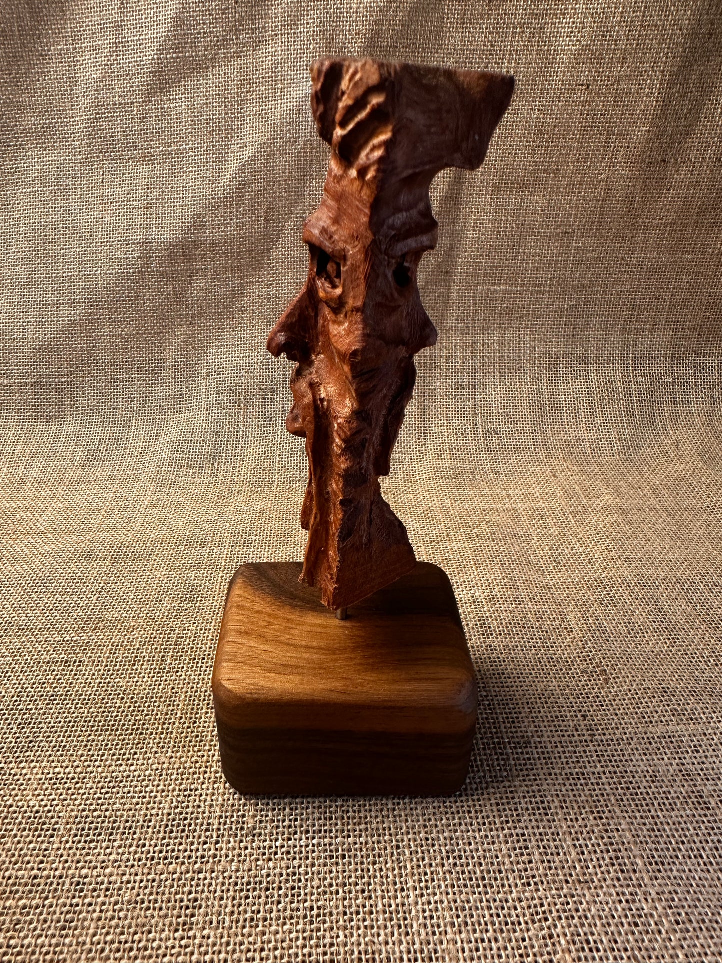 'Indecision' - Australian Red Cedar Bust