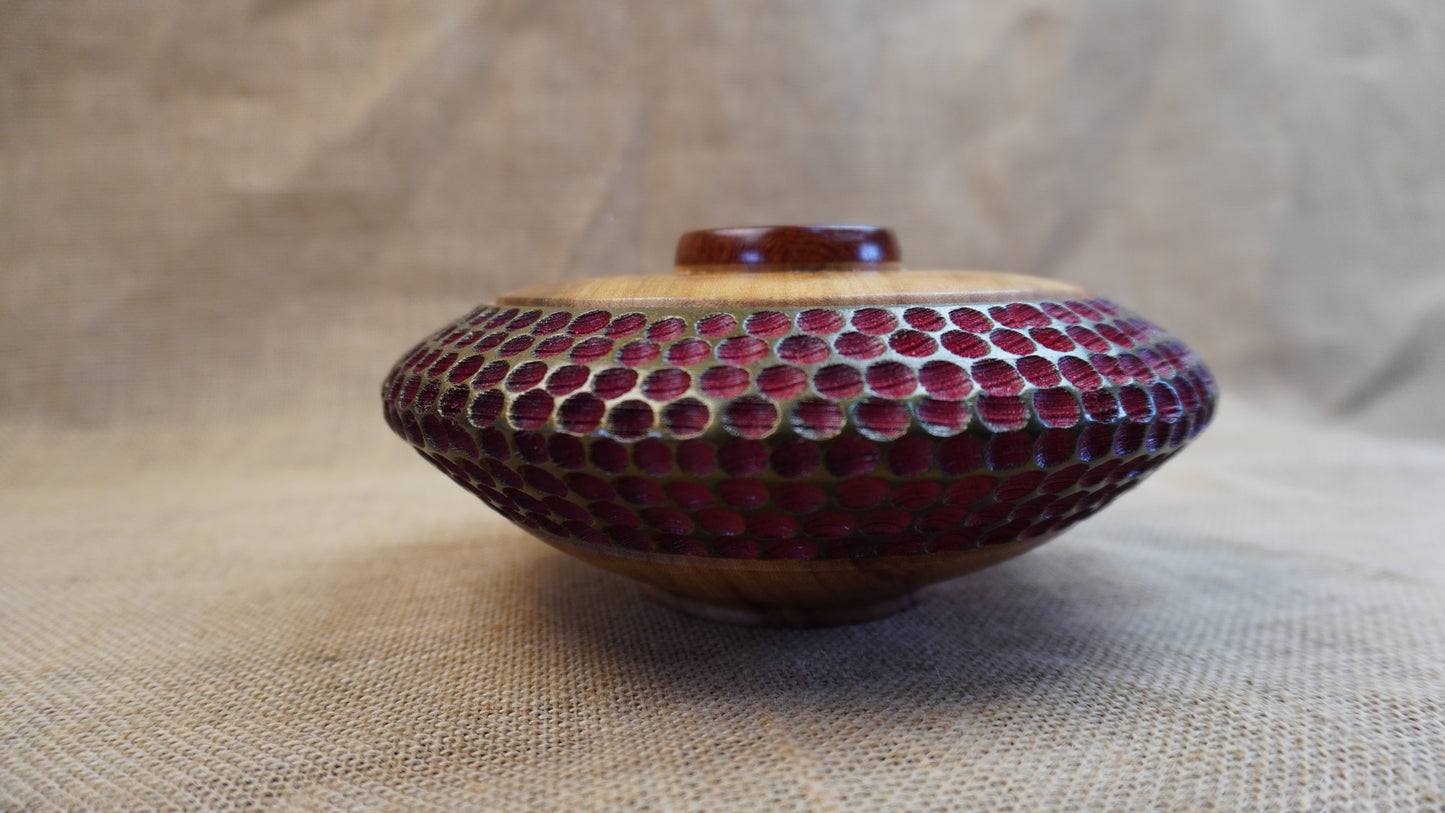 Camphor Laurel textured Hollow Form