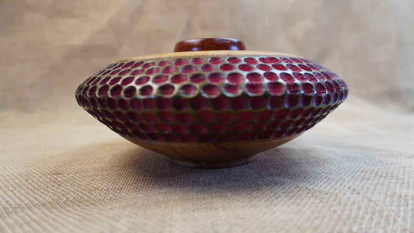 Camphor Laurel textured Hollow Form