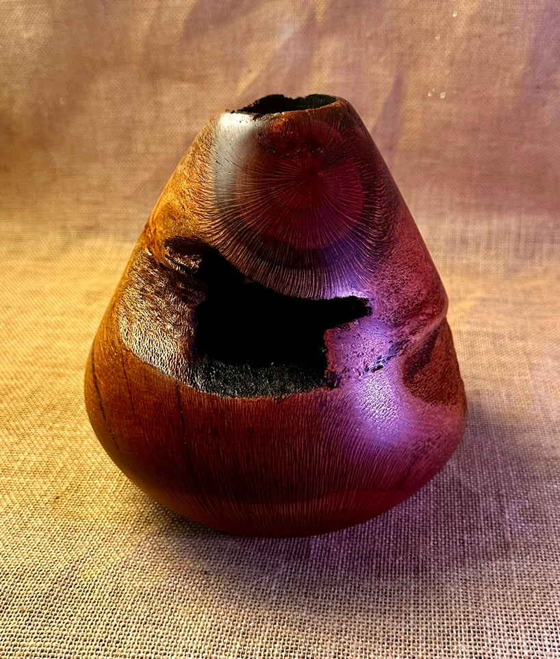 Silky Oak Hollow Form "Internal Beauty"