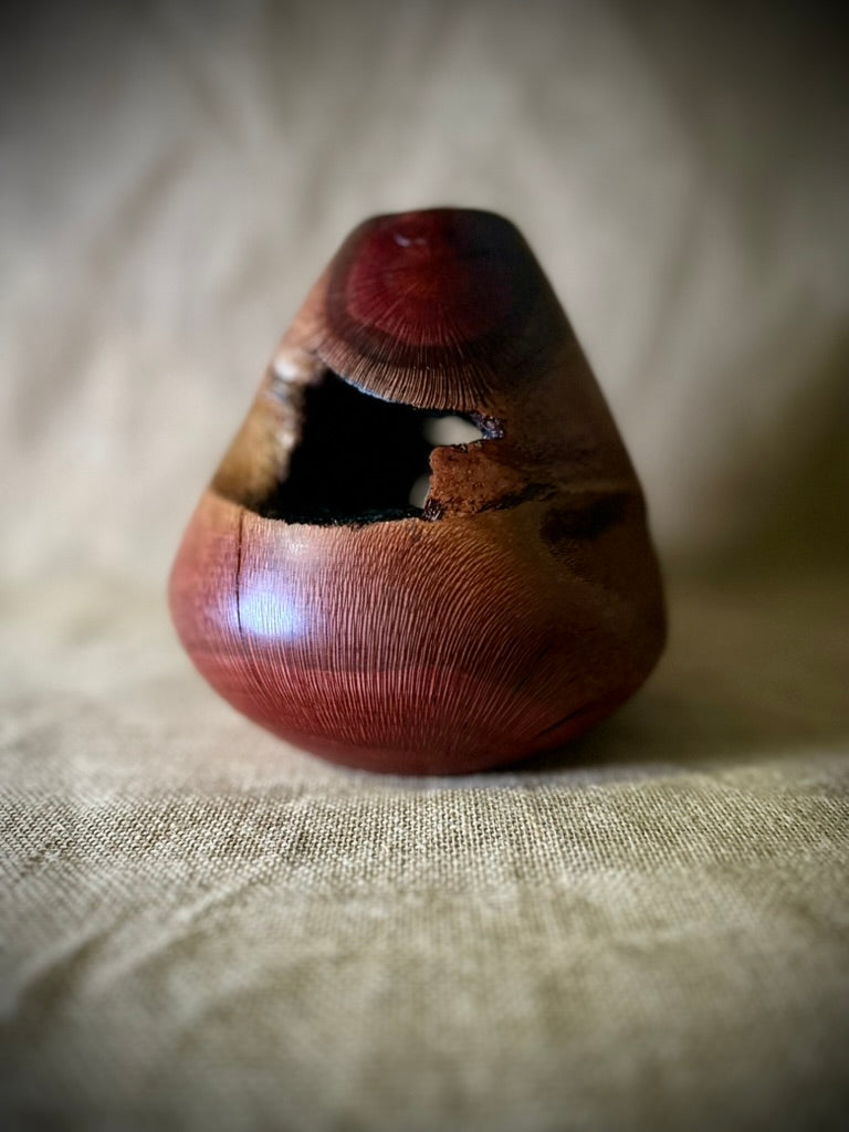 Silky Oak Hollow Form "Internal Beauty"