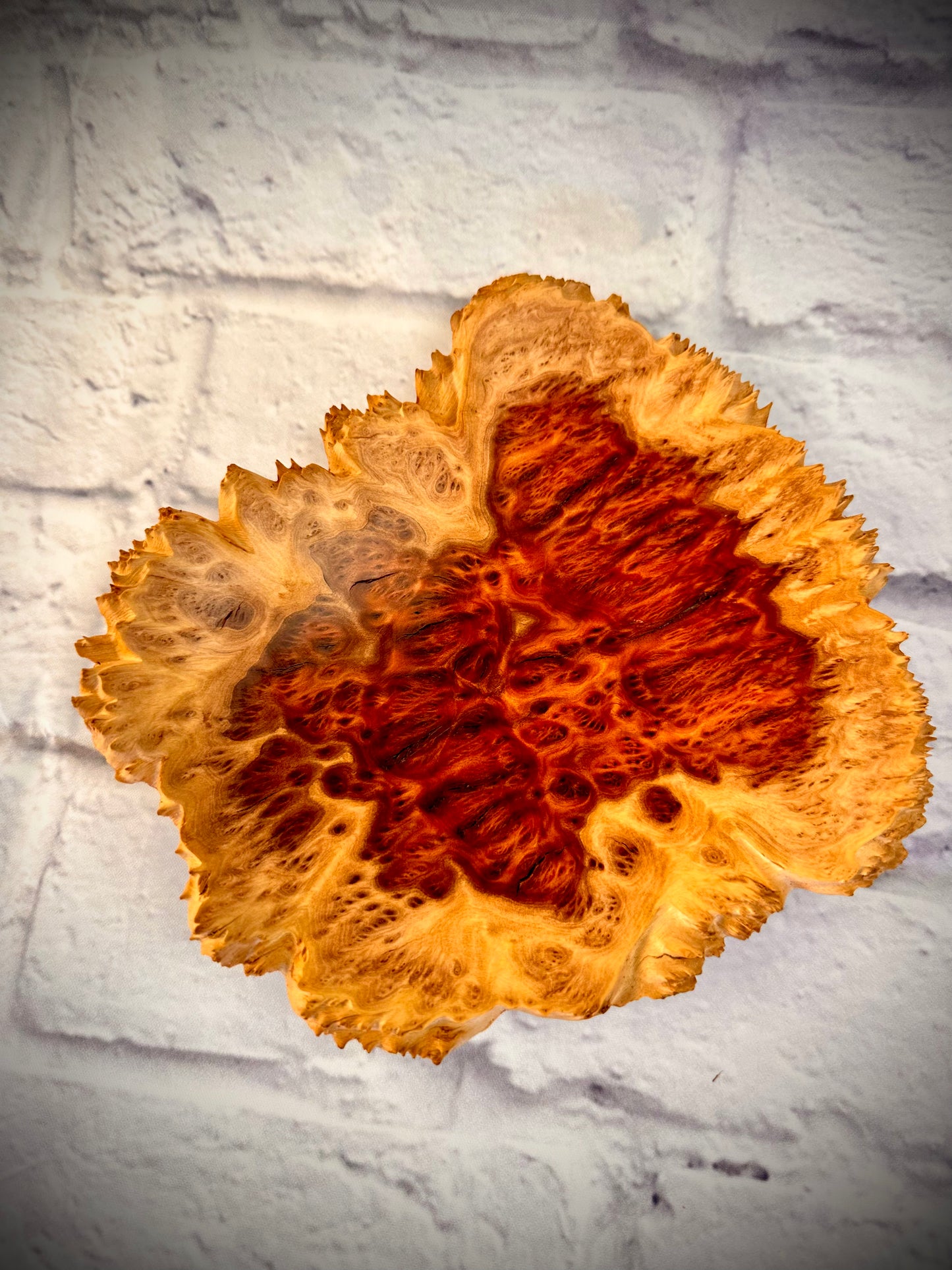 Red Mallee Burl Decorative Bowl with Natural Edge