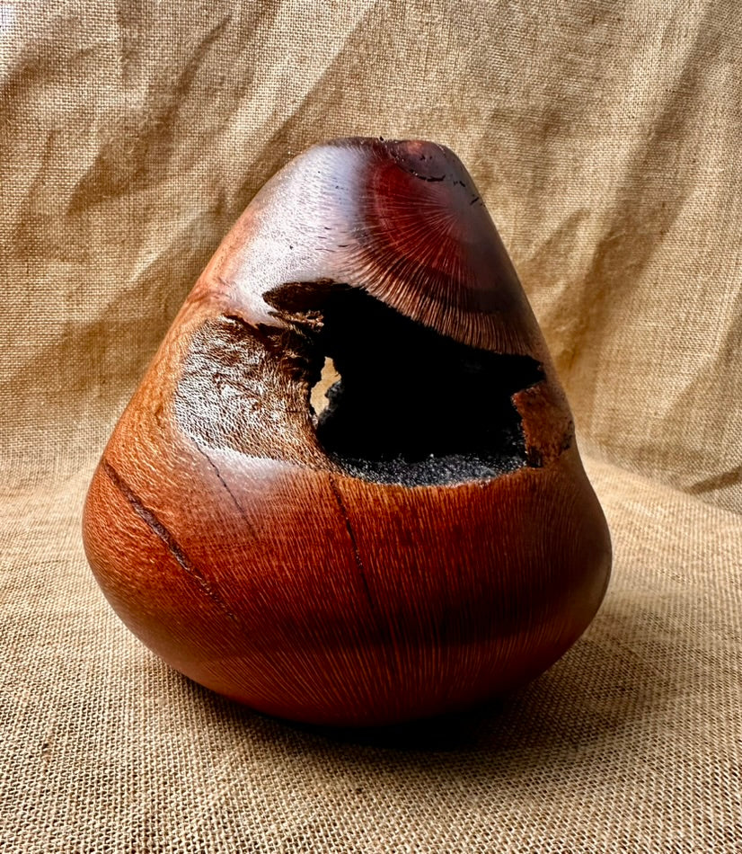 Silky Oak Hollow Form "Internal Beauty"