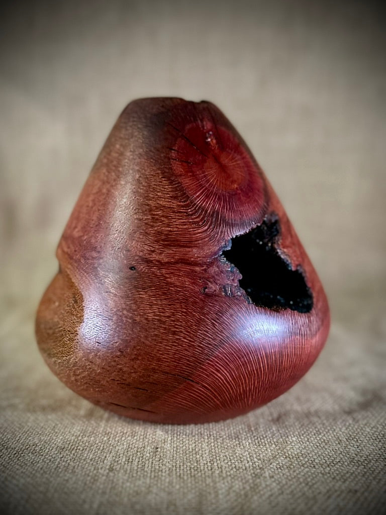 Silky Oak Hollow Form "Internal Beauty"