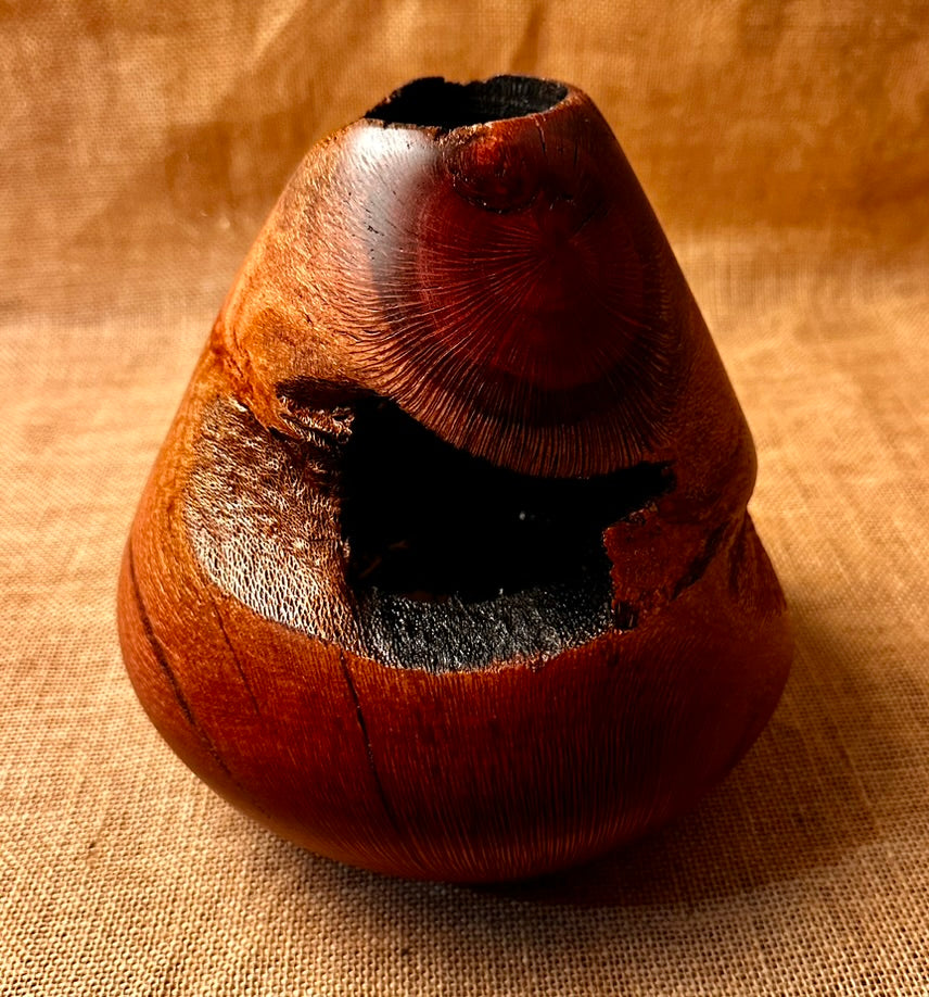 Silky Oak Hollow Form "Internal Beauty"