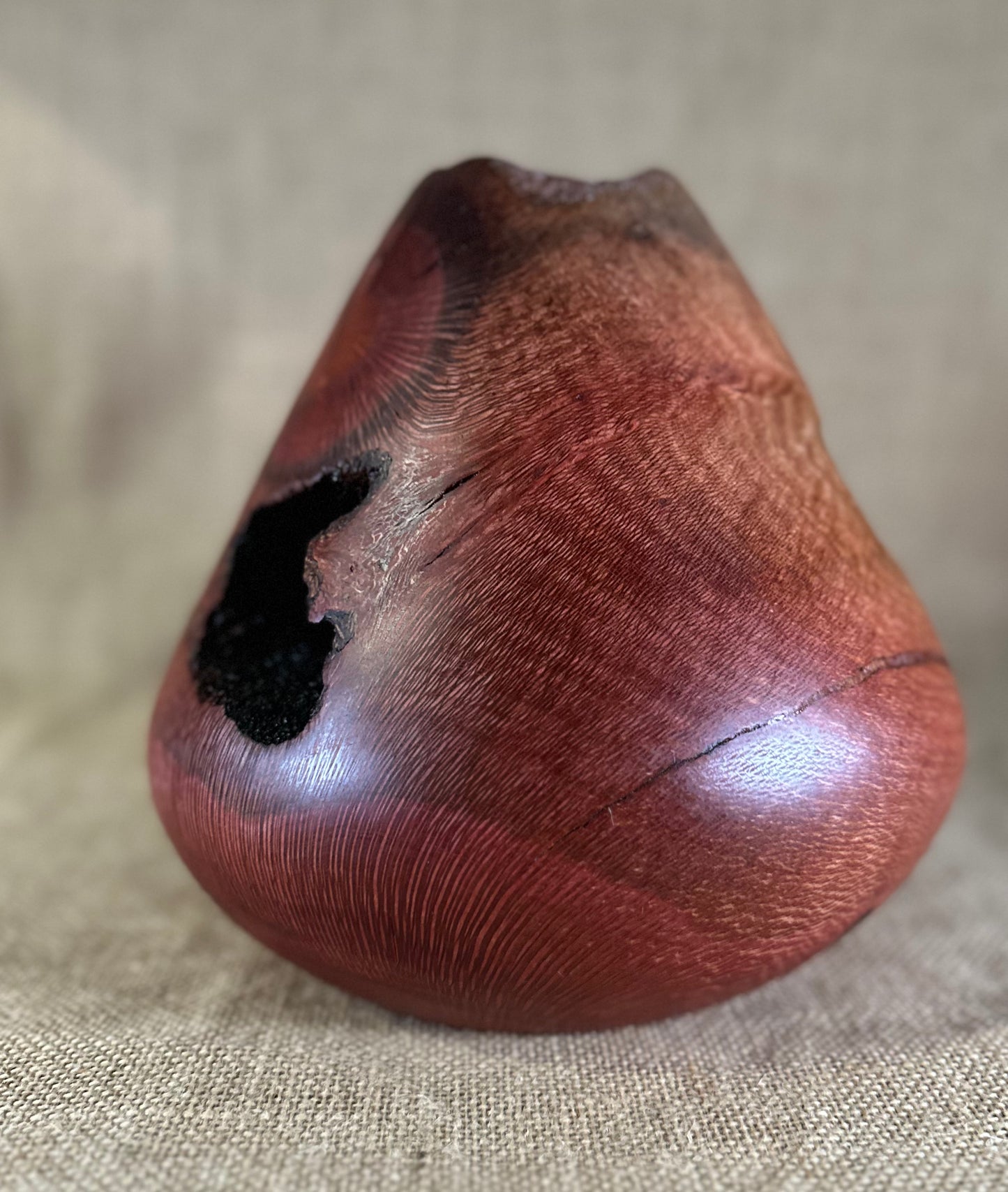 Silky Oak Hollow Form "Internal Beauty"