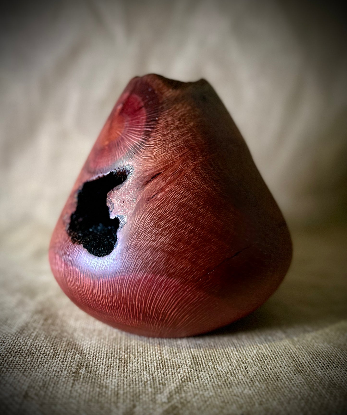 Silky Oak Hollow Form "Internal Beauty"